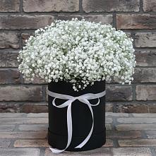 Цветочная композиция из Гипсофила в шляпной коробке в Горно-Алтайске
