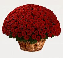 Премиум букет из: Розы в Горно-Алтайске